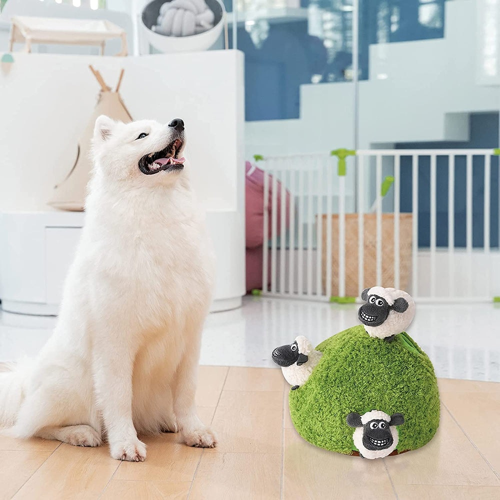 Okegztoa ensemble de jouets interactifs peluche pour chien, variété animale.