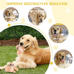 Jouet puzzle interactif okegztoa pour chiens explorateurs.