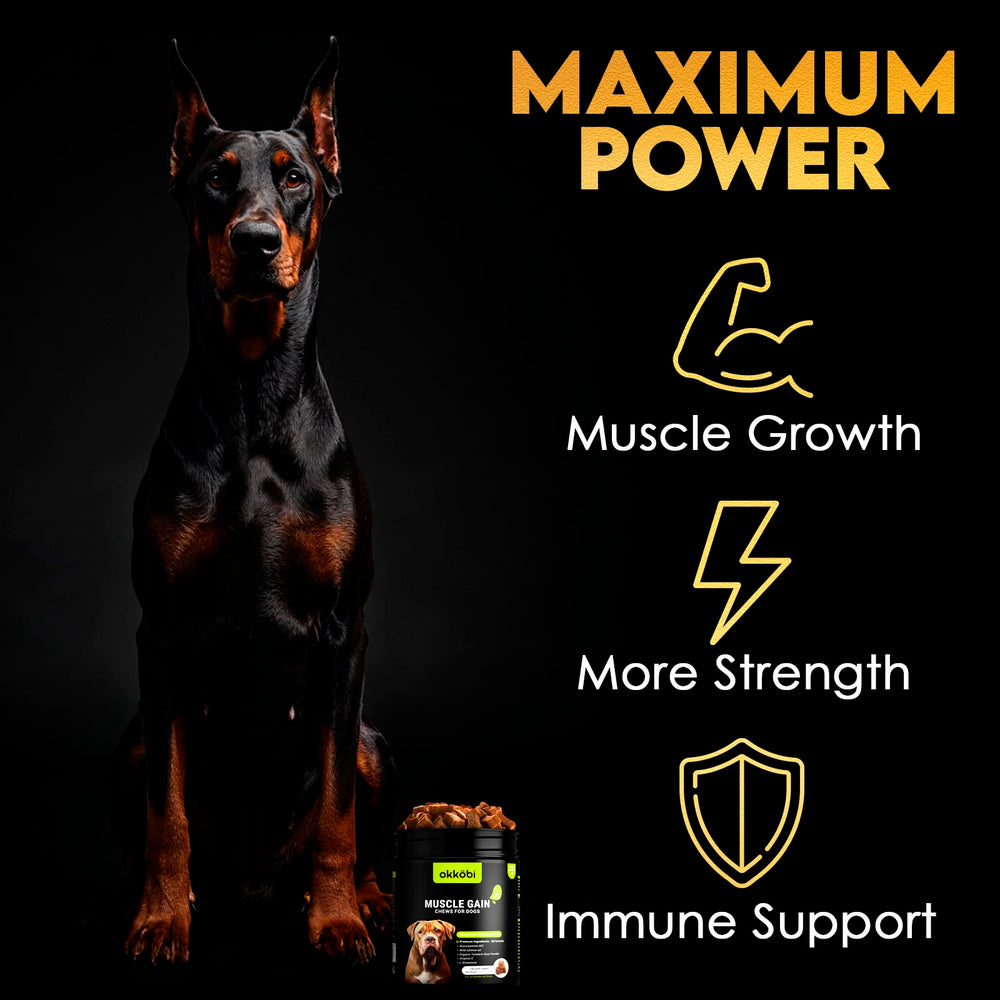 OKKÖBI 11-en-1 bouchées muscle, avant-après potentiel pour chiens actifs.