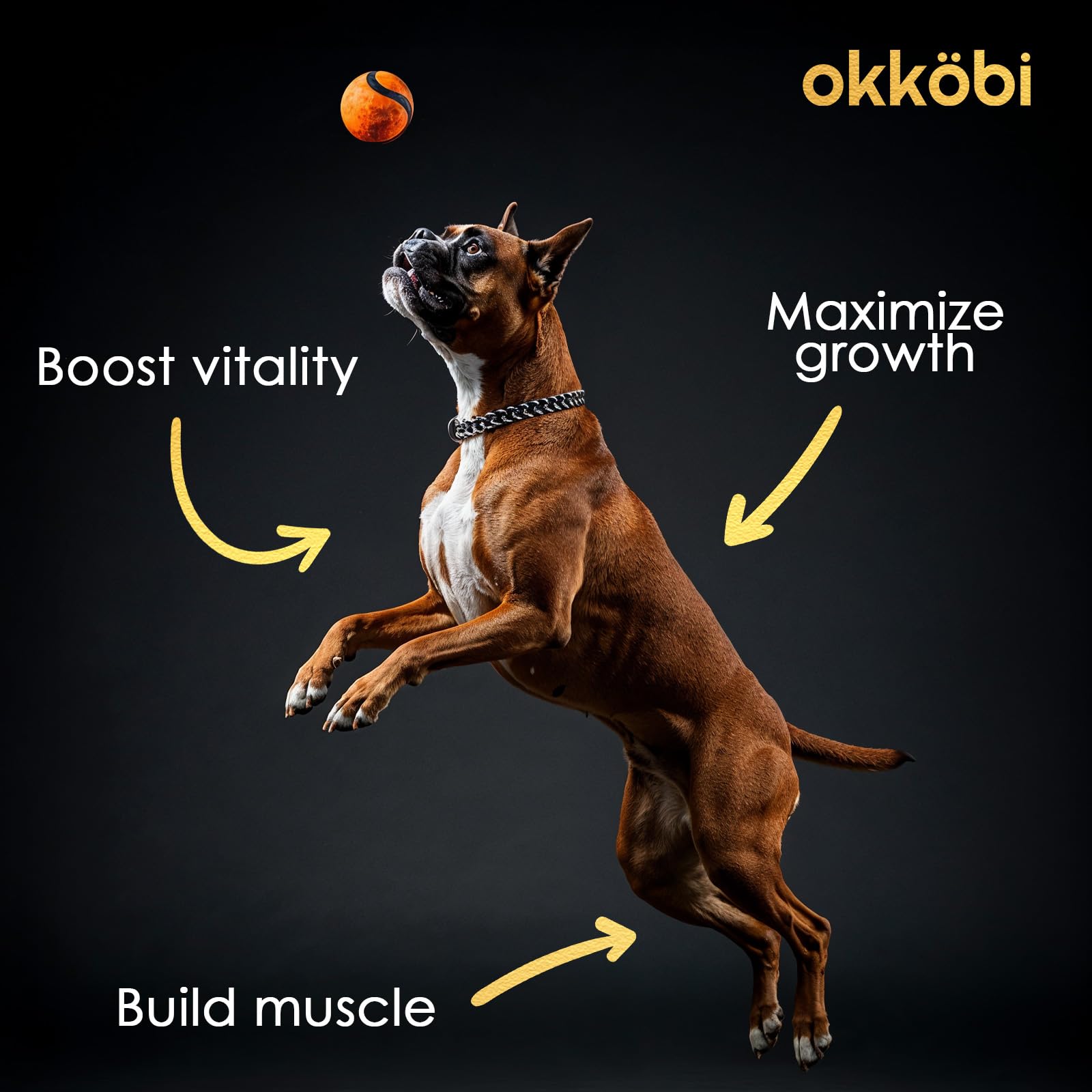 OKKÖBI 11-en-1 bouchées muscle, énergie durable pour chiens actifs.