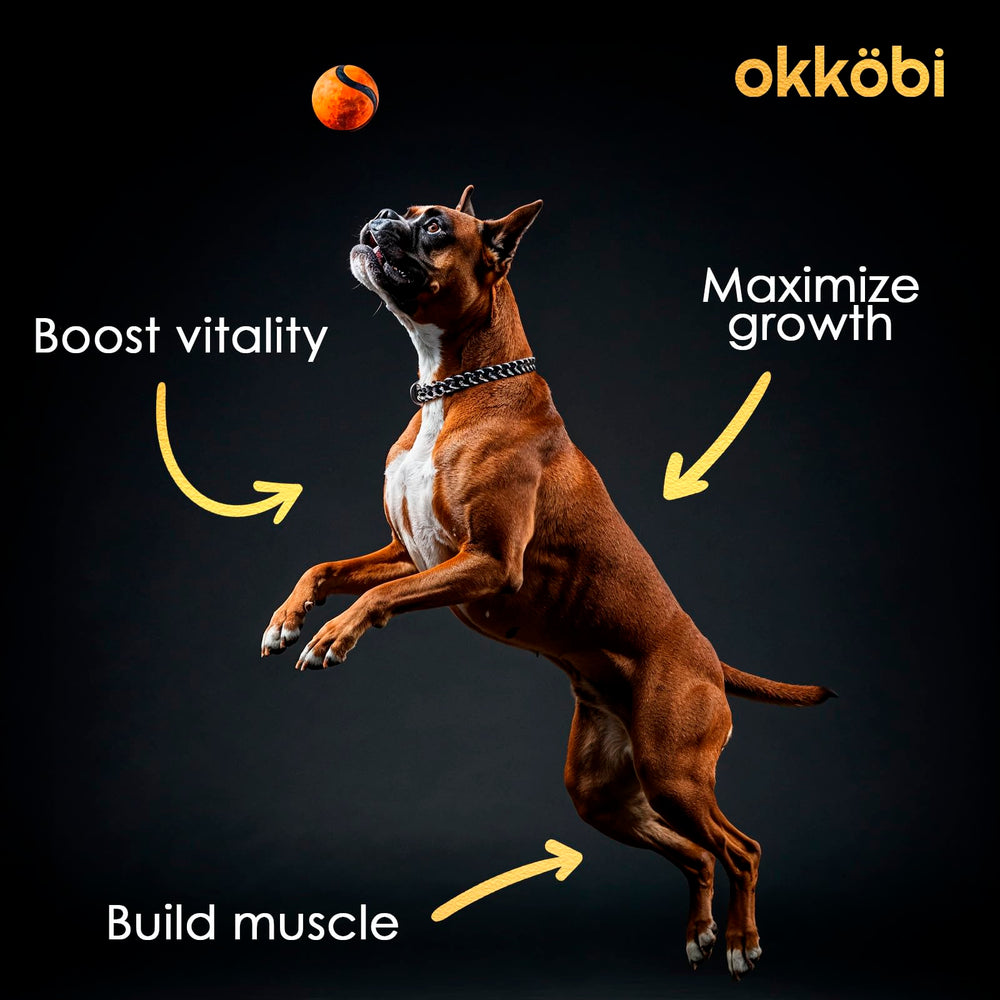 OKKÖBI astaxanthine vitalite energie: énergie durable pour les activités