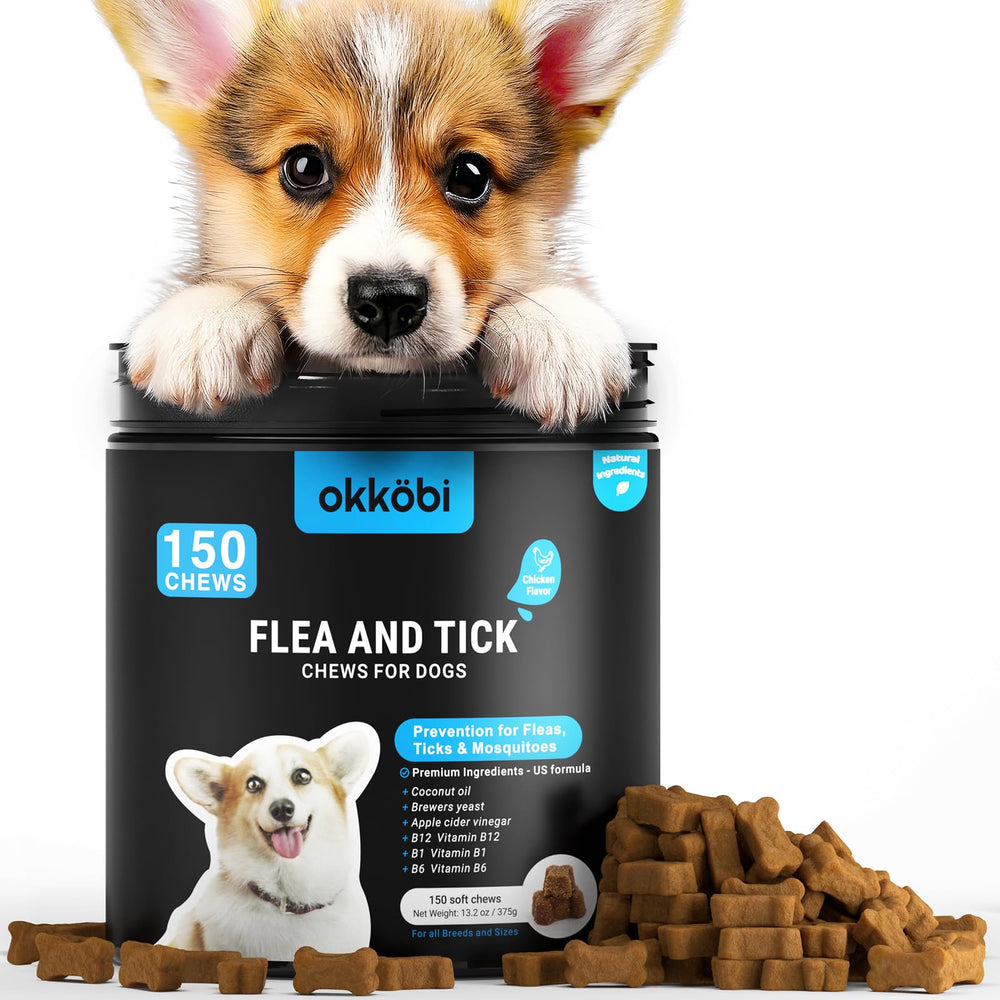 OKKÖBI - Boîte prévention puces pour chiens, emballage clair et pratique.