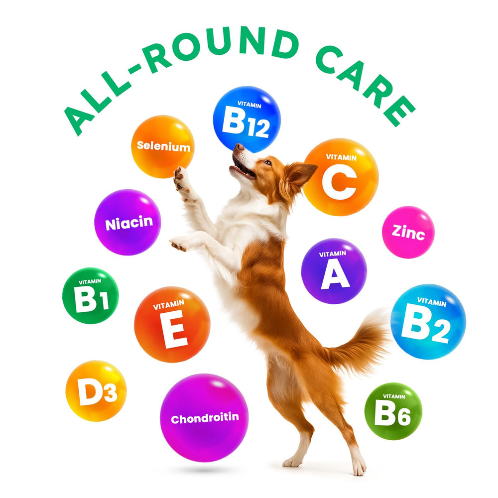 OKKÖBI pour chien, soutien des articulations grâce à la glucosamine et oméga-3.