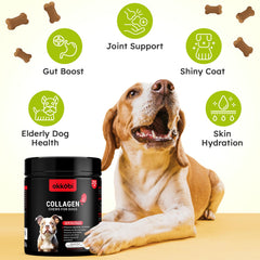 OKKÖBI Collagène pour chien – peau hydratée et confort cutané.