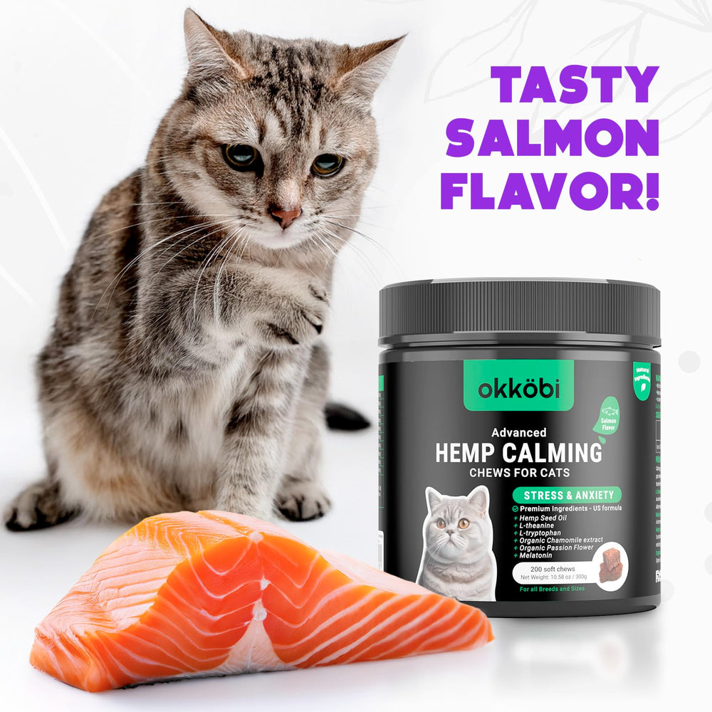 OKKÖBI friandises calmantes chats saumon, confort potentiel pour le quotidien.