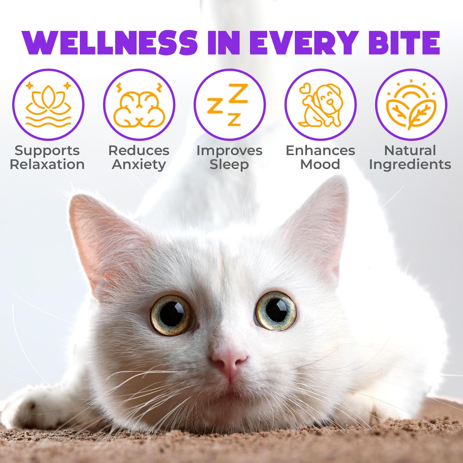 OKKÖBI friandises calmantes pour chats saumon, goût apprécié par les animaux.