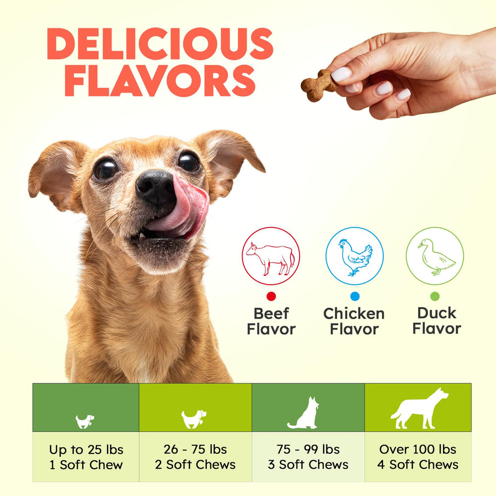 OKKÖBI Collagene huile omega3 chien: peau et poil nourris.