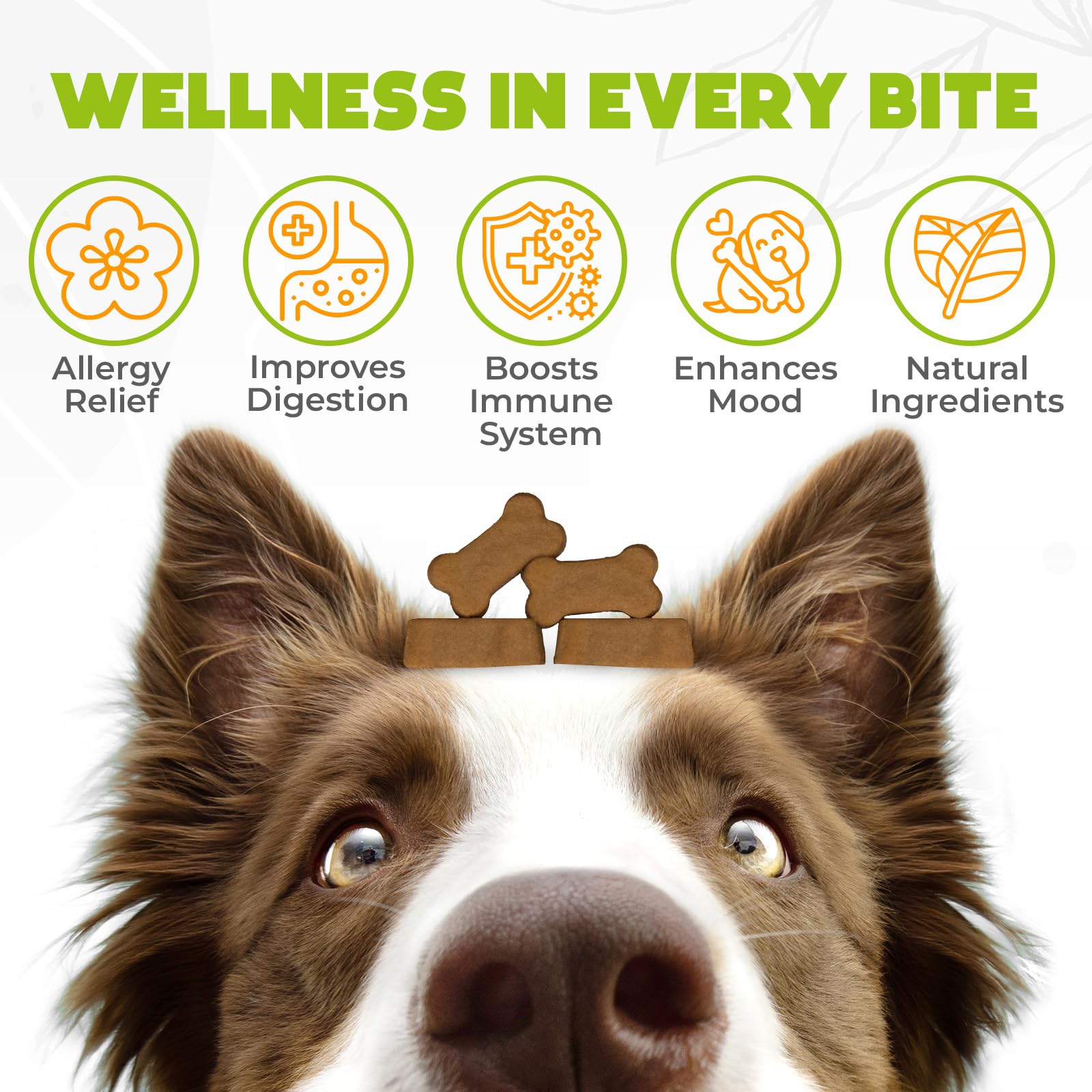 OKKÖBI ingrédients naturels pour allergie chien, soutien digestif potentiel.
