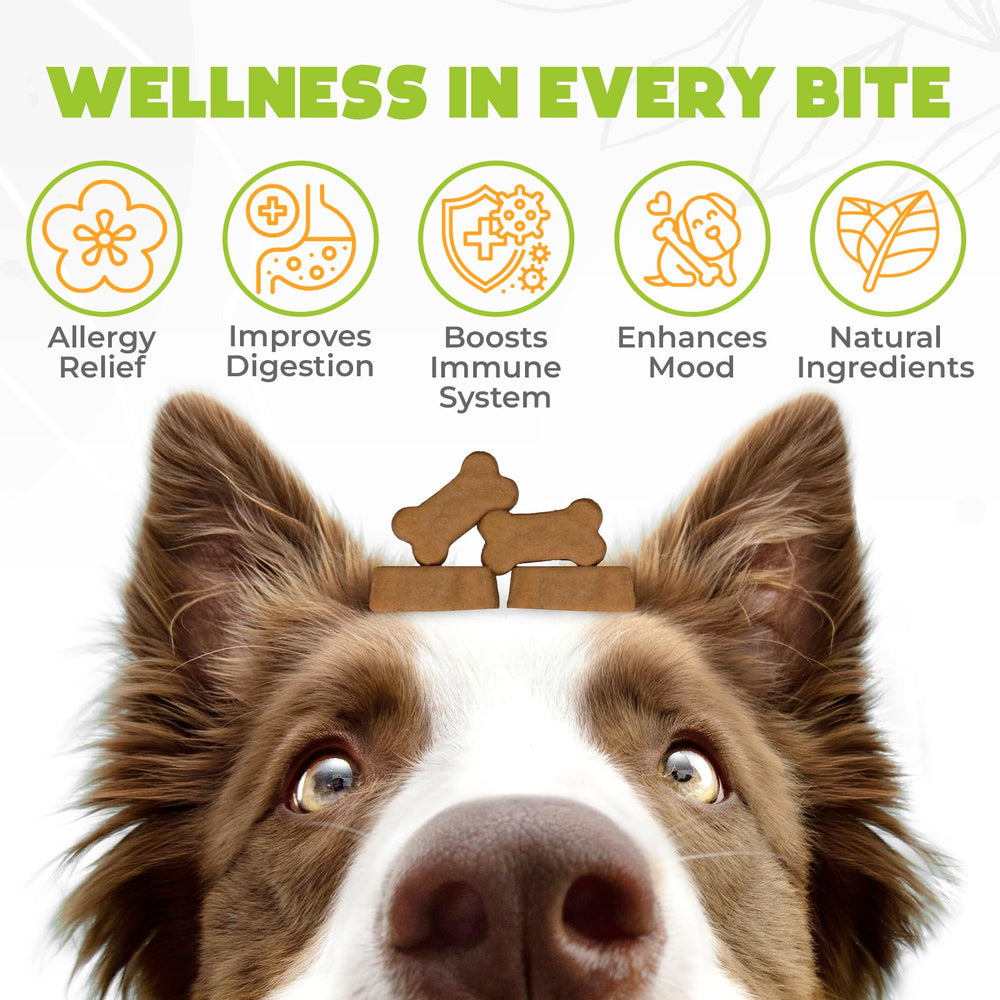 OKKÖBI ingrédients naturels pour allergie chien, soutien digestif potentiel.