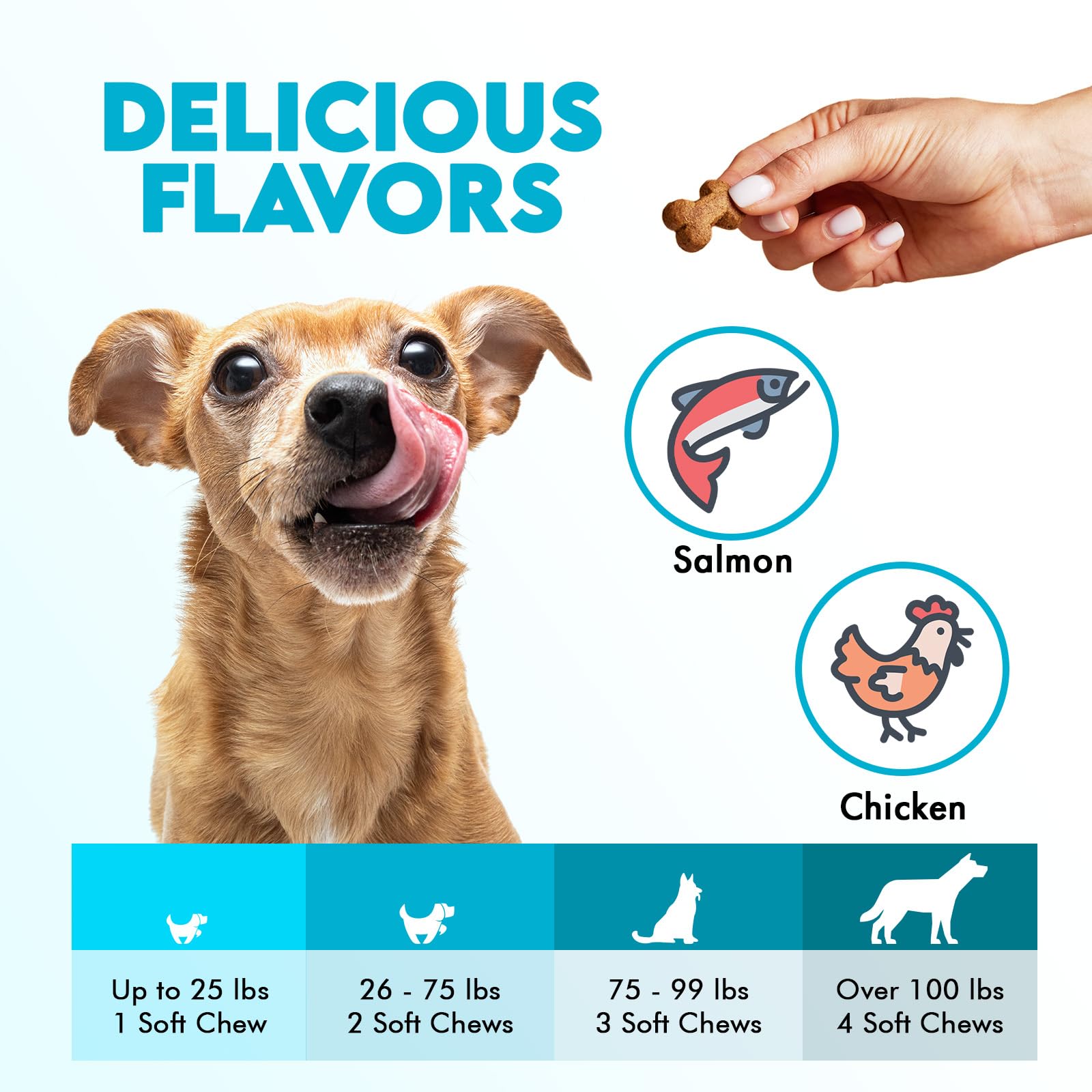 OKKÖBI Omega 3 pour chiens – prise quotidienne facile à intégrer dans la routine.