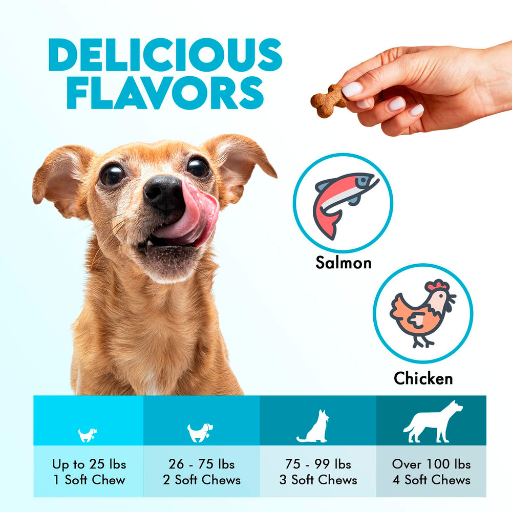 OKKÖBI Omega 3 pour chiens – prise quotidienne facile à intégrer dans la routine.