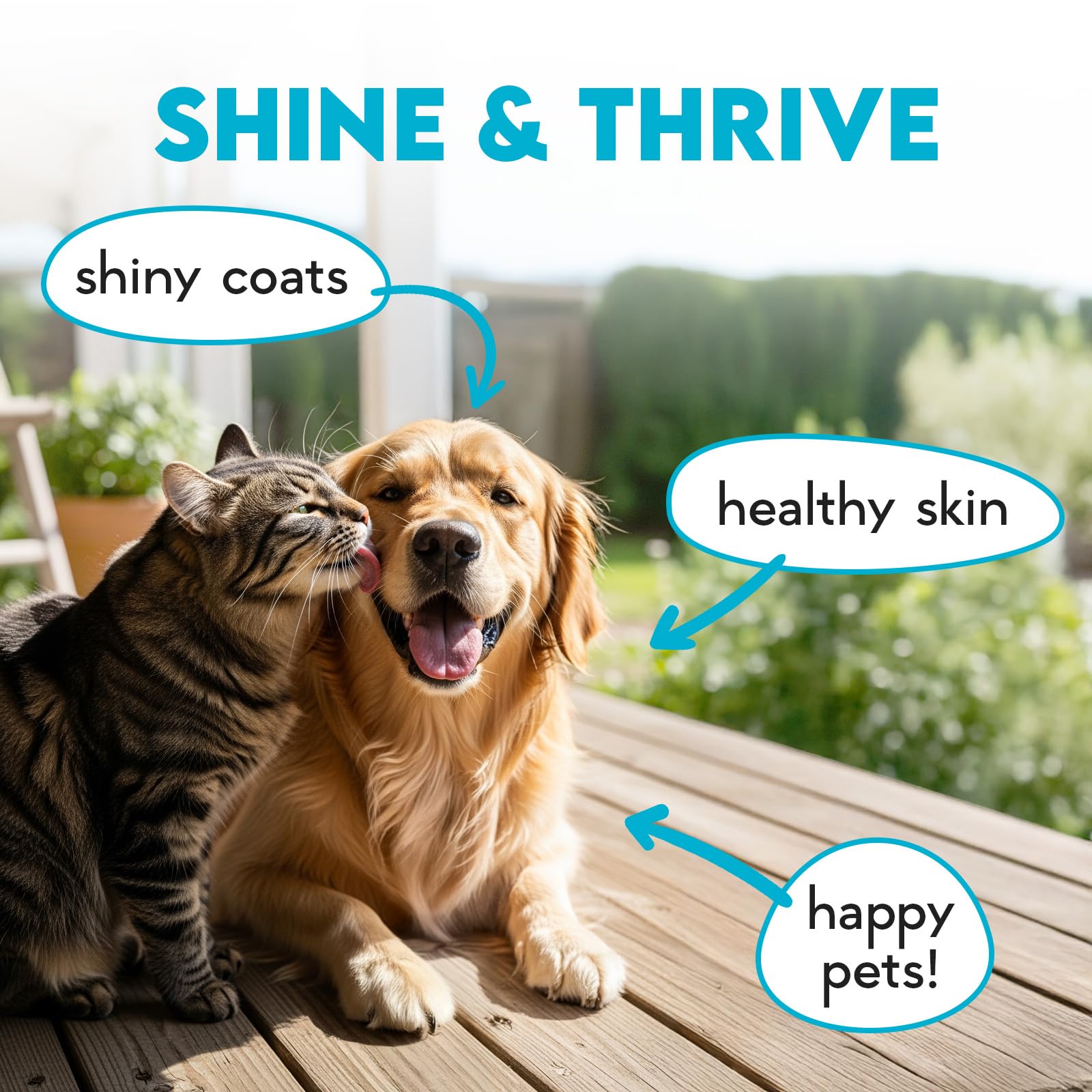 OKKÖBI Omega 3 pour chiens – huile de poisson riche en EPA et DHA, ingrédients naturels.