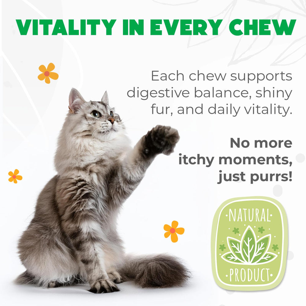 OKKÖBI probiotiques pour chats – ingrédients naturels soutenant la digestion
