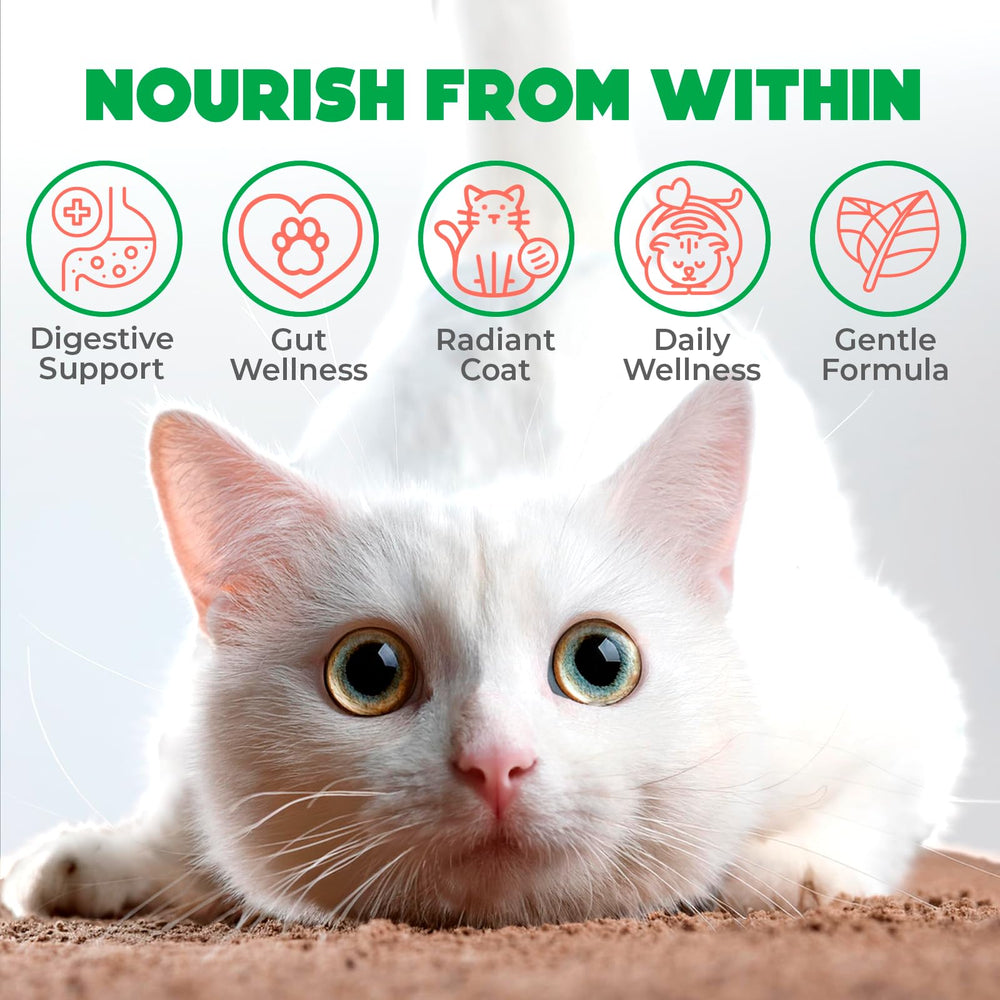 OKKÖBI probiotiques pour chats – bouchées croustillantes et crémeuses au saumon