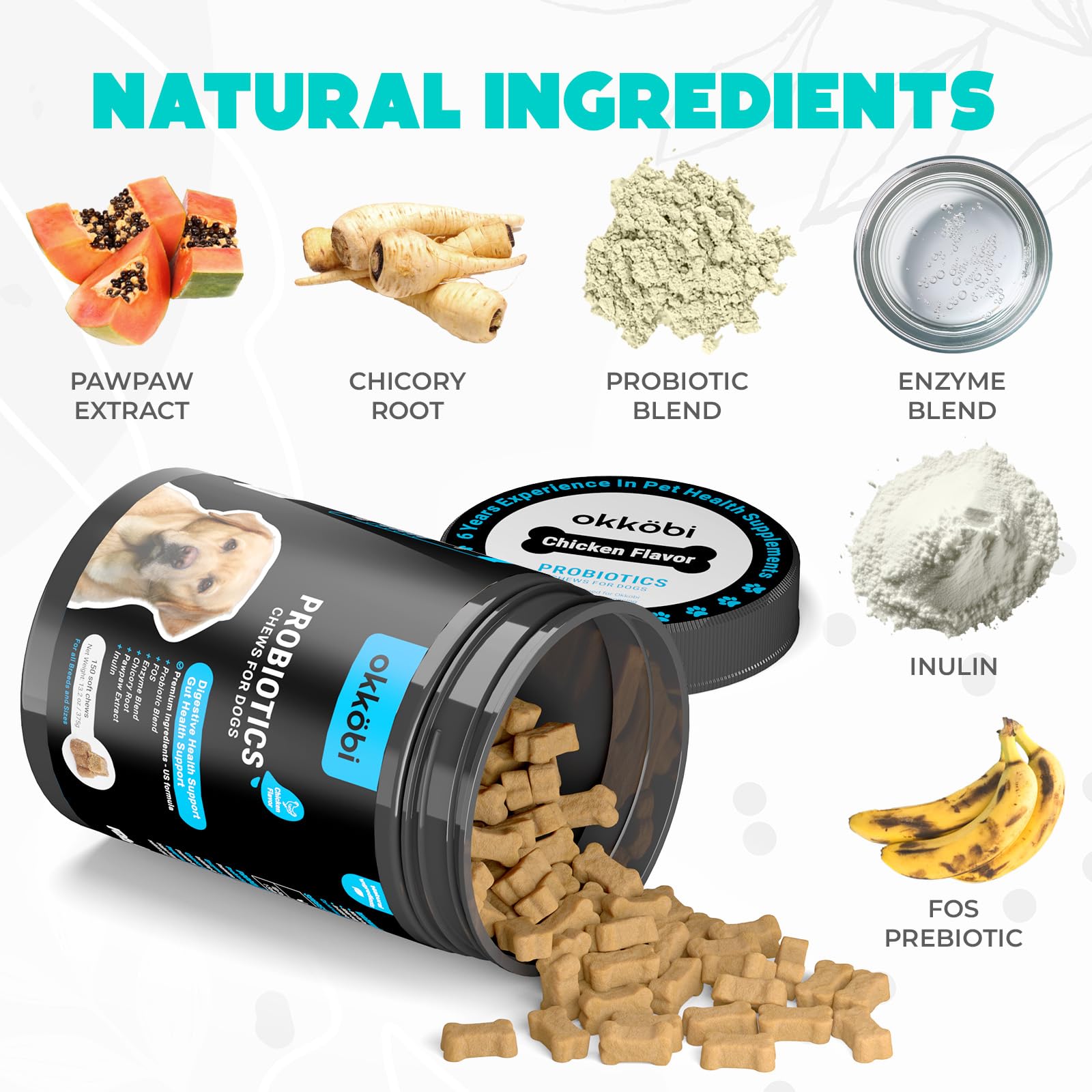 OKKÖBI Probiotiques pour chiens, saveur boeuf, goût apprécié et soutien intestinal