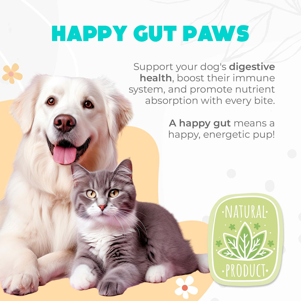 OKKÖBI Probiotiques pour chiens, saveur potiron vegan, option végétalienne appréciée
