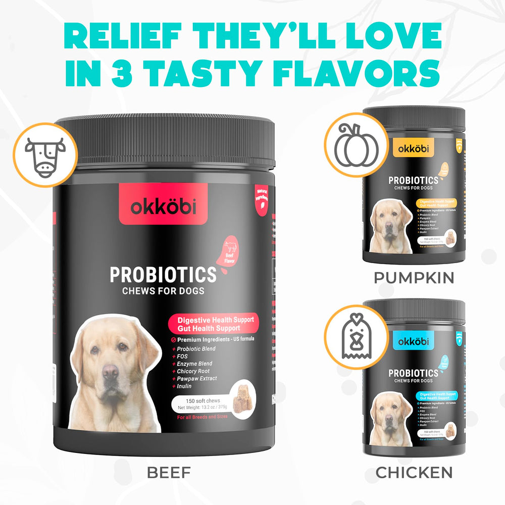 OKKÖBI Probiotiques pour Chiens, service client réactif et conseils.