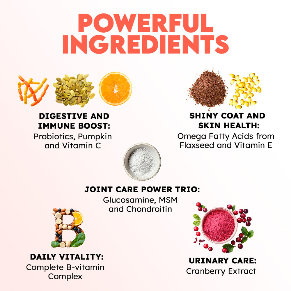 OKKÖBI 20-en-1 vitamine chat, complément global pour la vitalité.