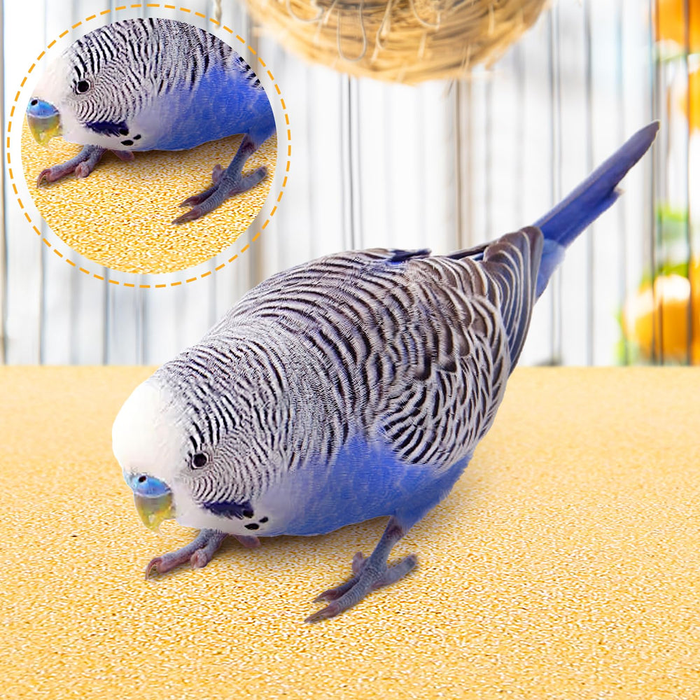 Okllen papier gravier pour cage d'oiseaux – prêt pour l'entretien quotidien