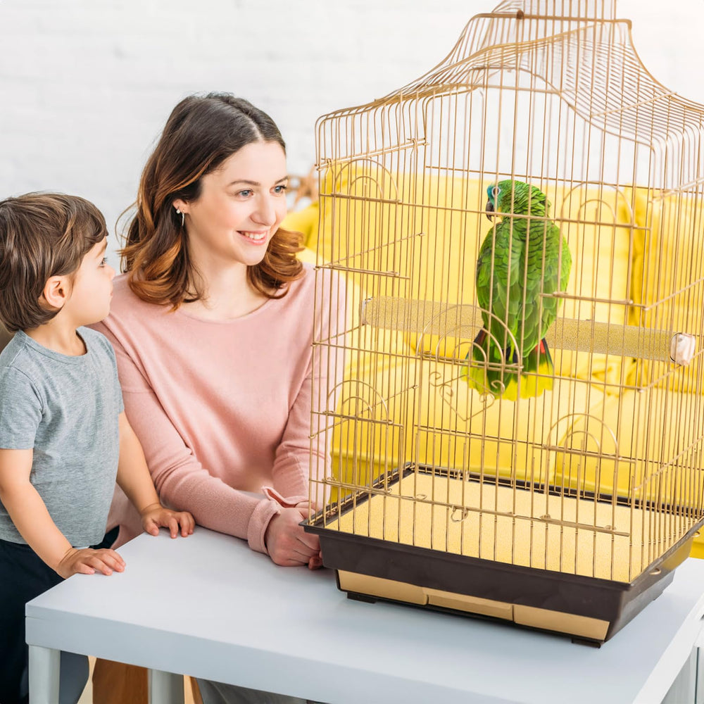 Okllen papier gravier pour cage d'oiseaux – compatible avec toutes cages