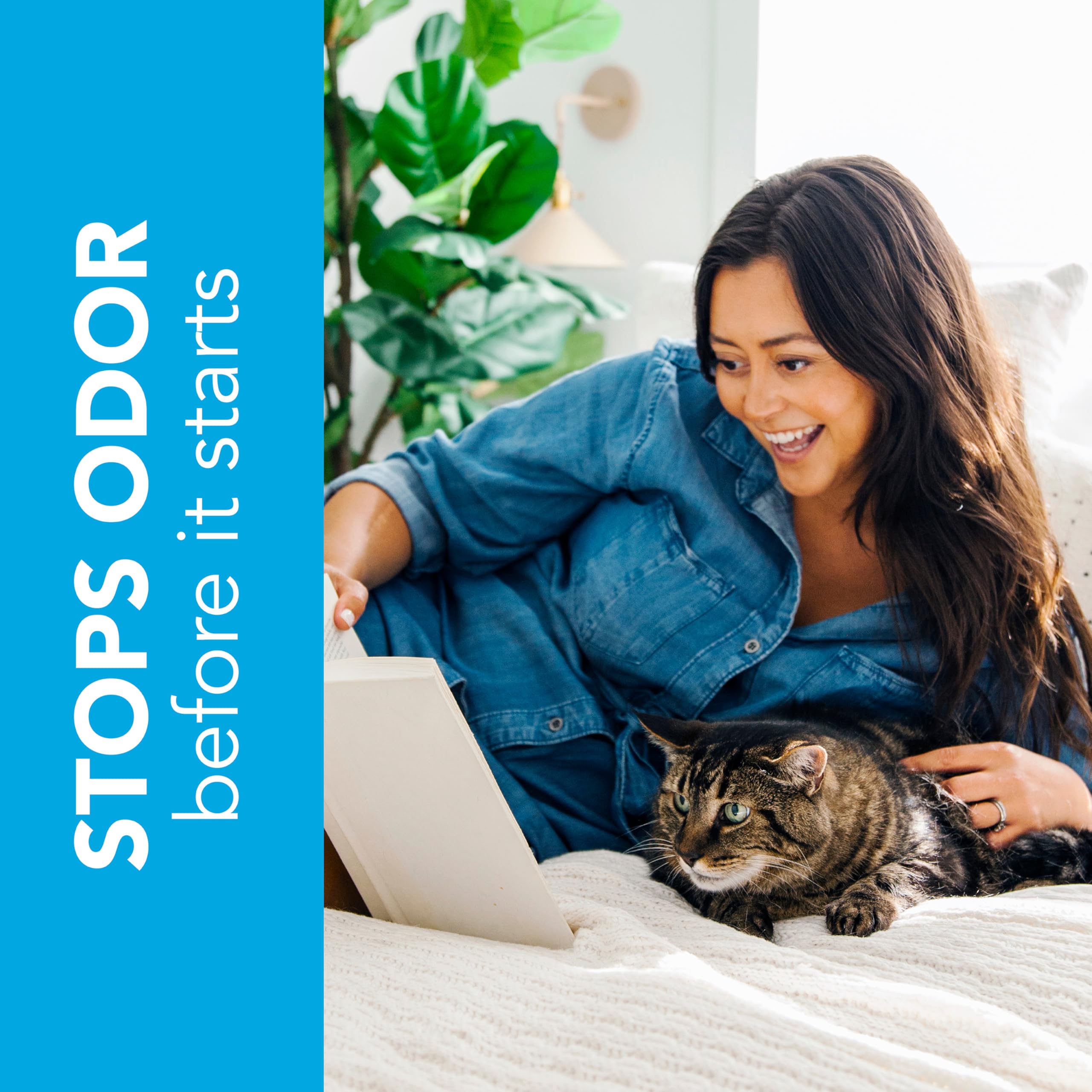 ökocat litière biodégradable bois naturel: option écologique.