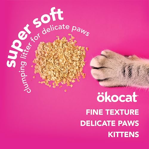 okocat 99-pourcent-sans-poussière: intérieur plus propre.
