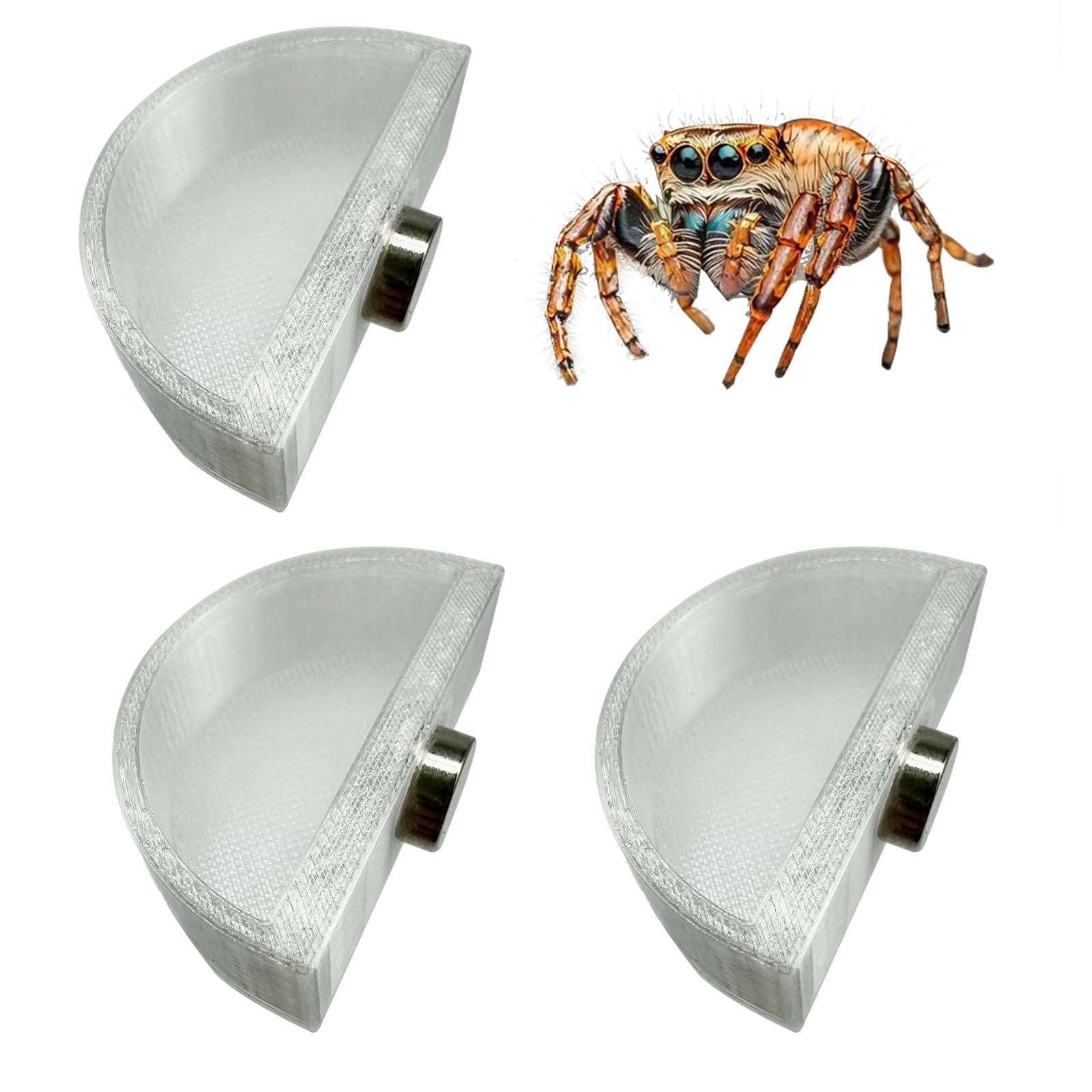 Plat d'alimentation Okueejur pour araignée sauteuse, fixation sécurisée et sans odeur.