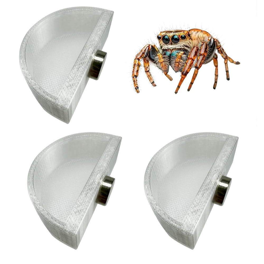 Plat d'alimentation Okueejur pour araignée sauteuse, fixation sécurisée et sans odeur.