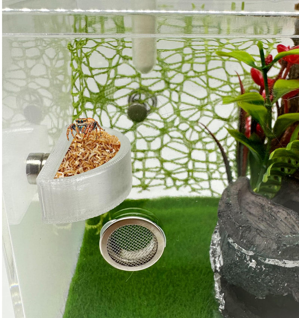 Plat d'alimentation Okueejur, pratique pour nourrir araignées sauteuses.