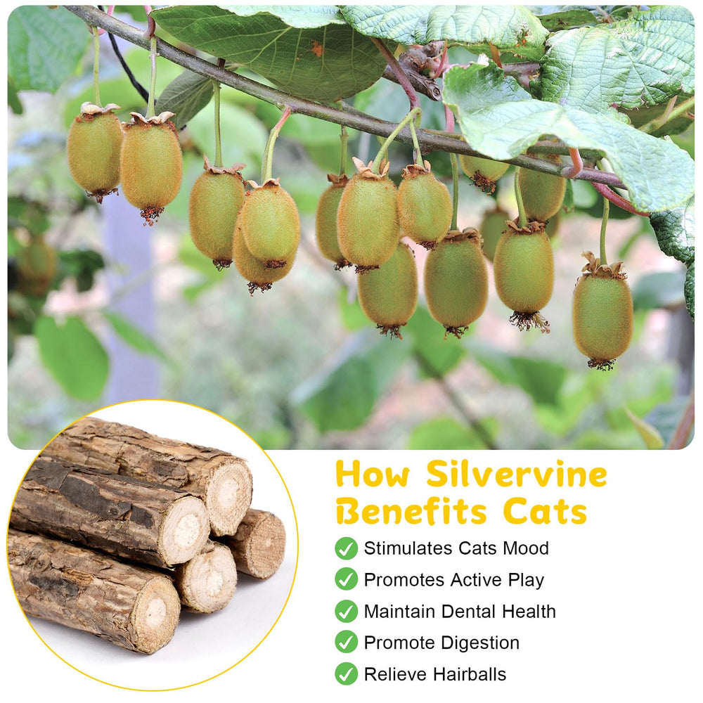 Okxiri batons silvervine pour chats: parfum attractif pour réduire le stress lors du jeu