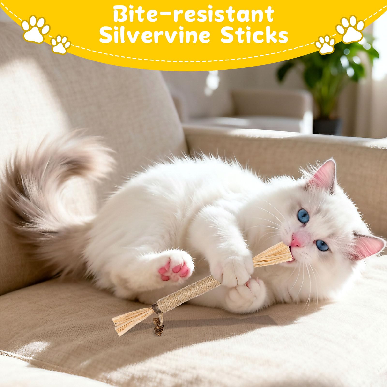 Okxiri batons silvervine pour chats: idéal pour chatons et chats actifs