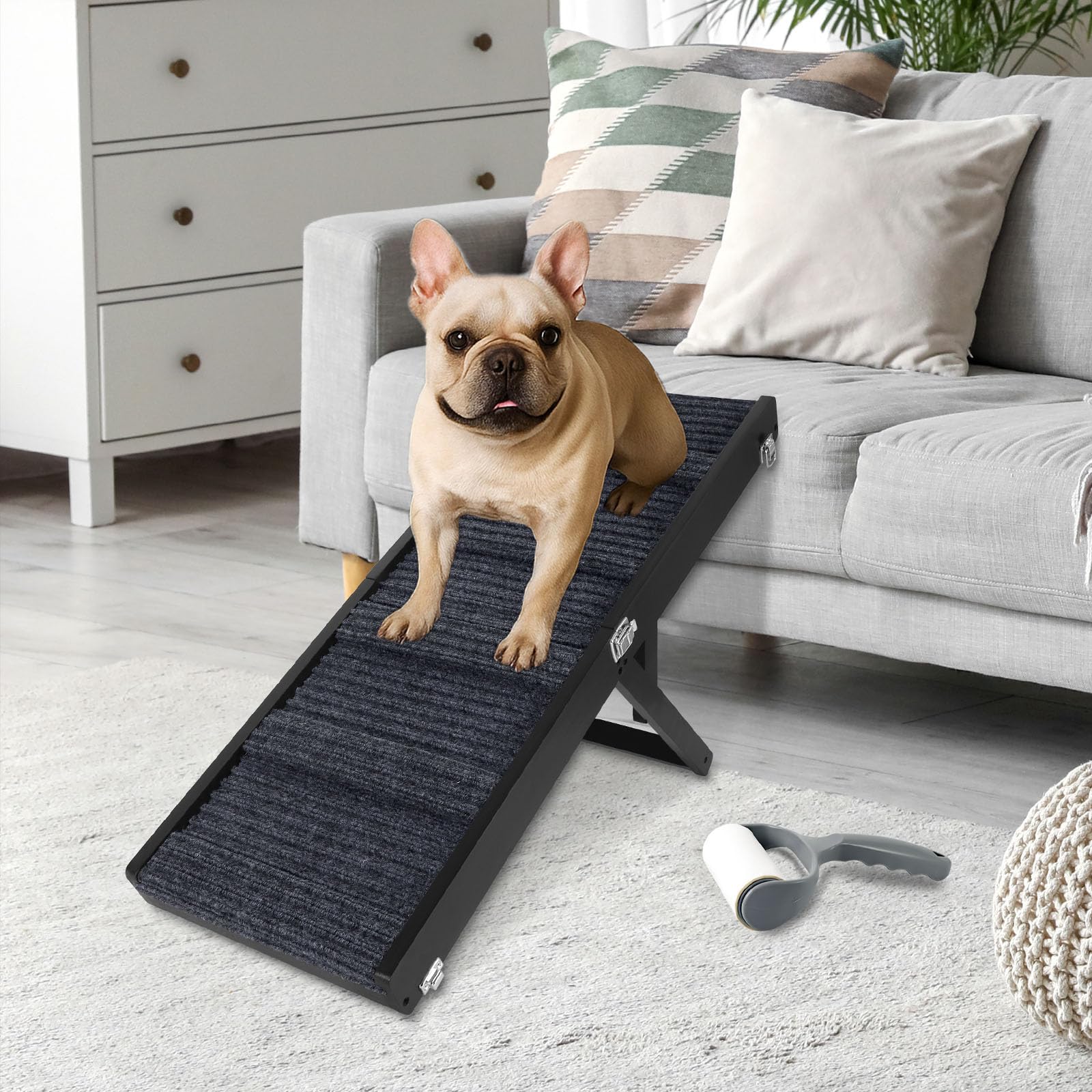 Okydoky rampe pour petit chien sur canapé, montée en douceur.