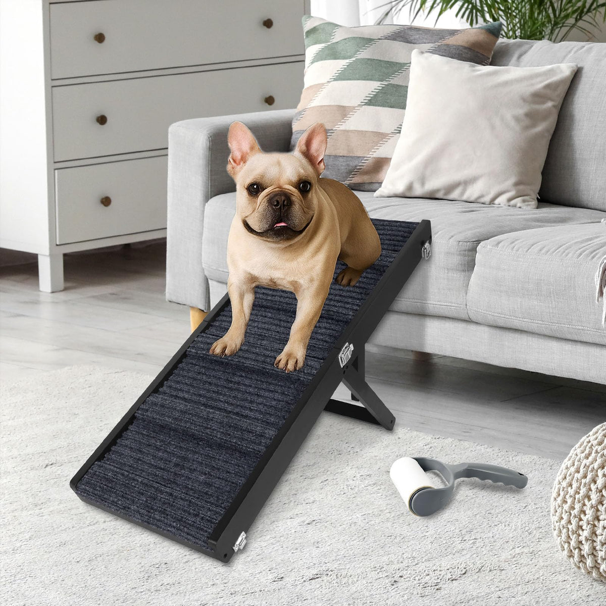 Okydoky rampe pour petit chien sur canapé, montée en douceur.
