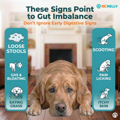 Pâte OL NELLY à 6 souches pour chiens et chats, selles régulières