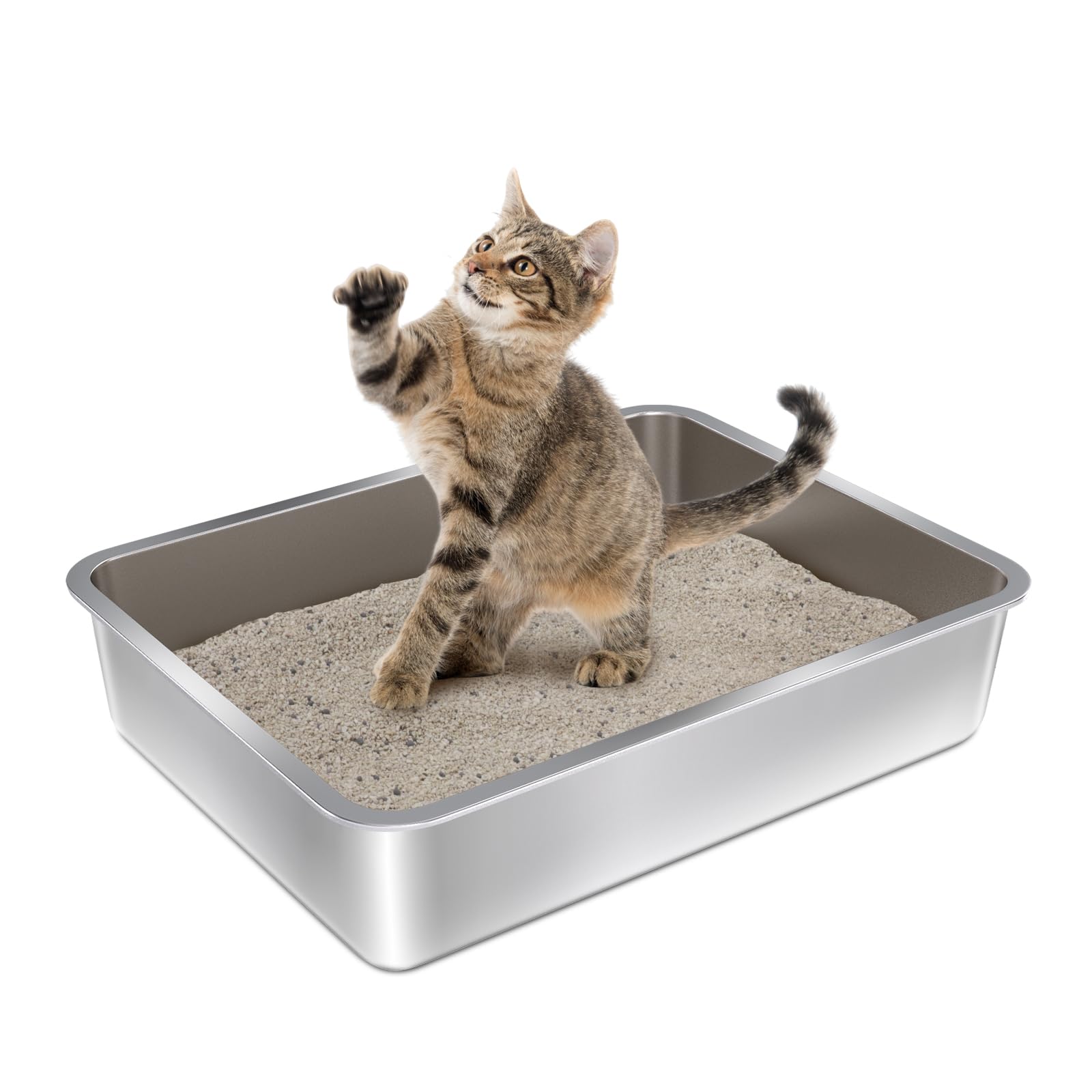 Olacat bac-litiere acier inox avant : accès facile pour chaton et petit animal