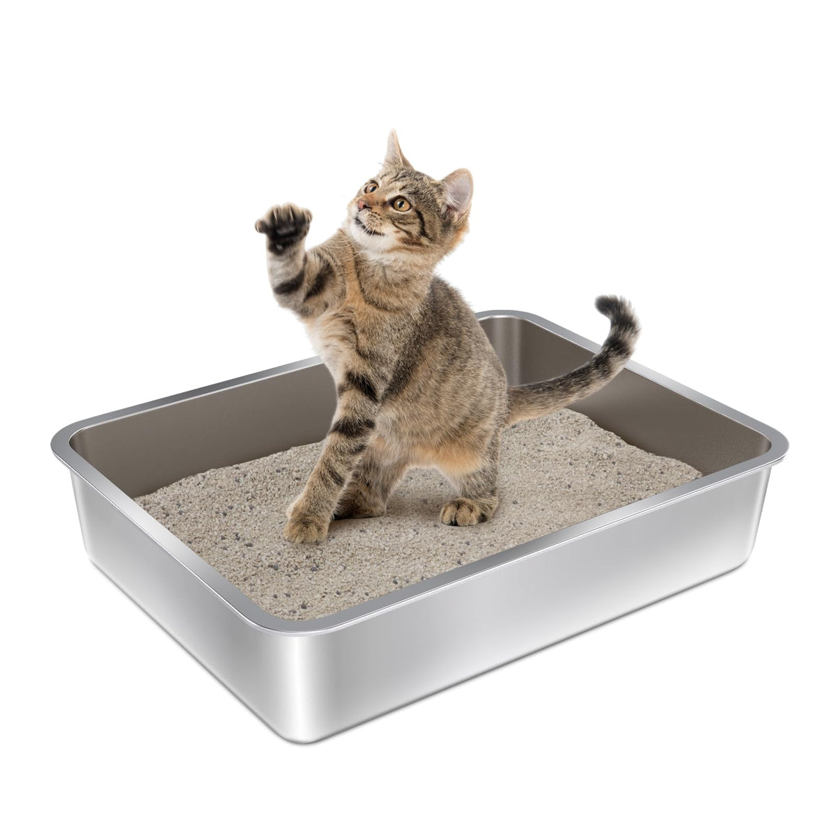 Olacat bac-litiere acier inox avant : accès facile pour chaton et petit animal