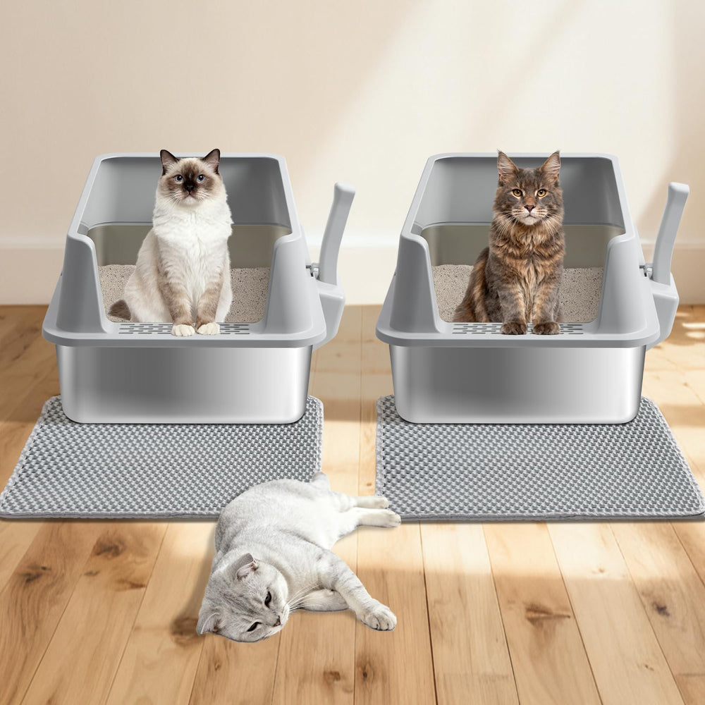 Olacat bac-litière inox design modulaire pour entretien