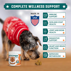 Probiotiques Old Dog's Barn en pot, aide potentielle à l'équilibre digestif.