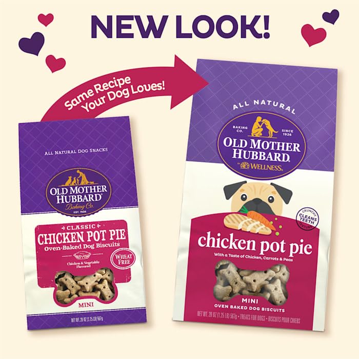 Biscuits os poulet Old Mother Hubbard, texture croustillante idéale pour mâcher.