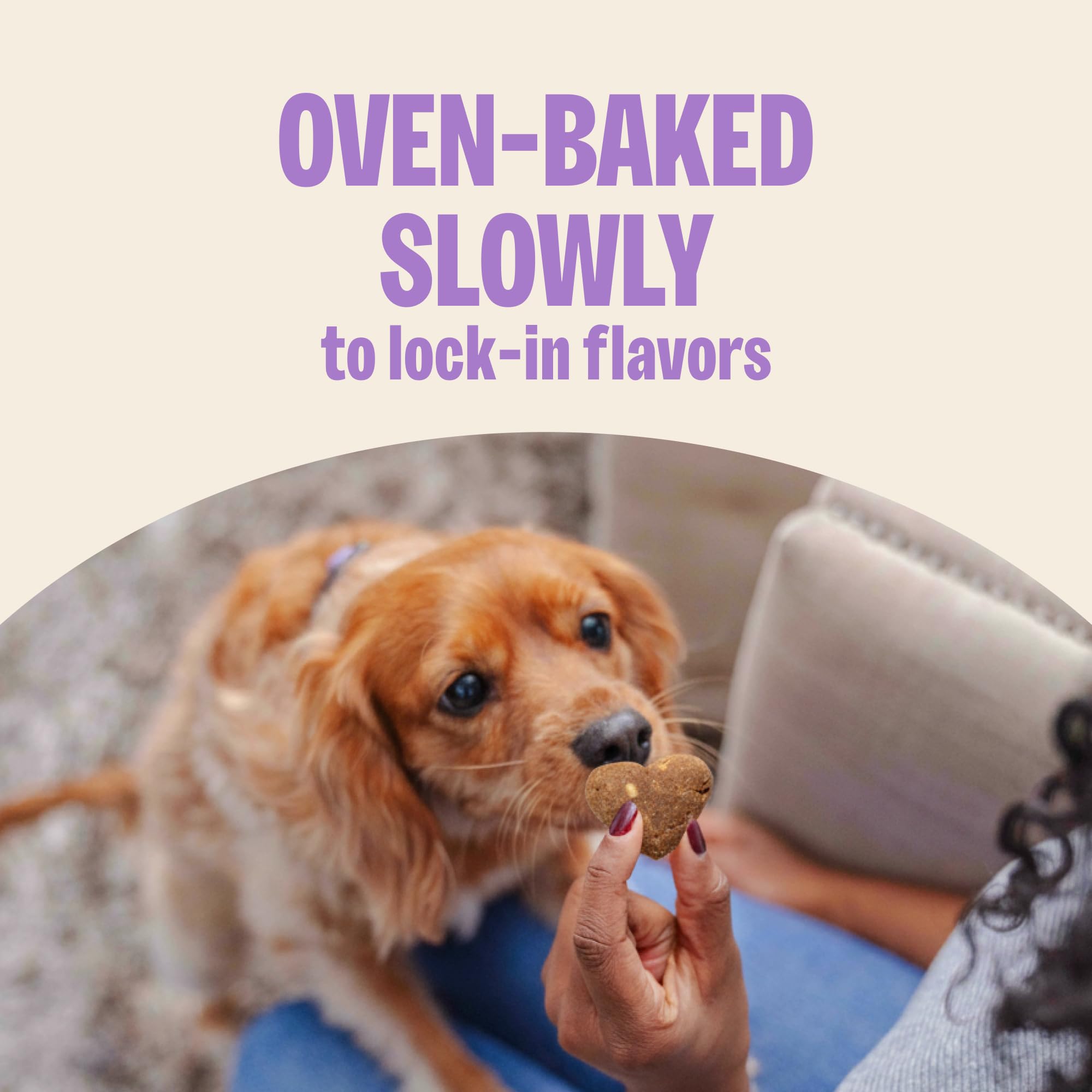 Old Mother Hubbard arôme d’érable naturel, biscuit appétissant pour chien.