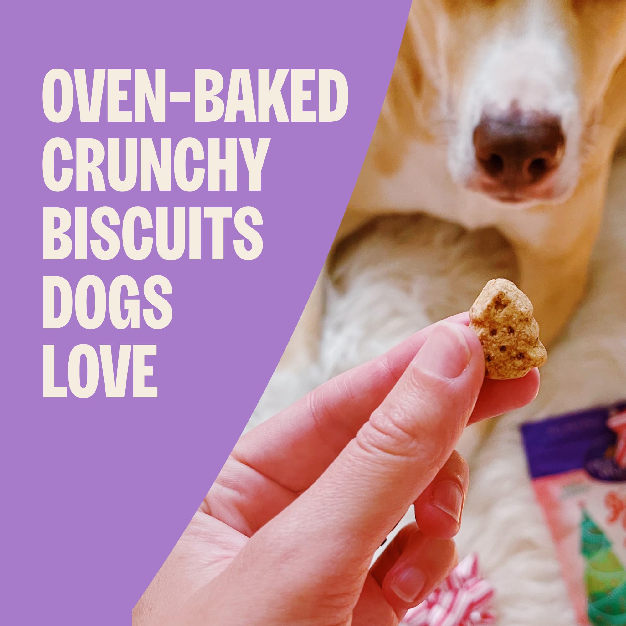 Old Mother Hubbard biscuits formes saisonnieres parfaits pour friandises quotidiennes