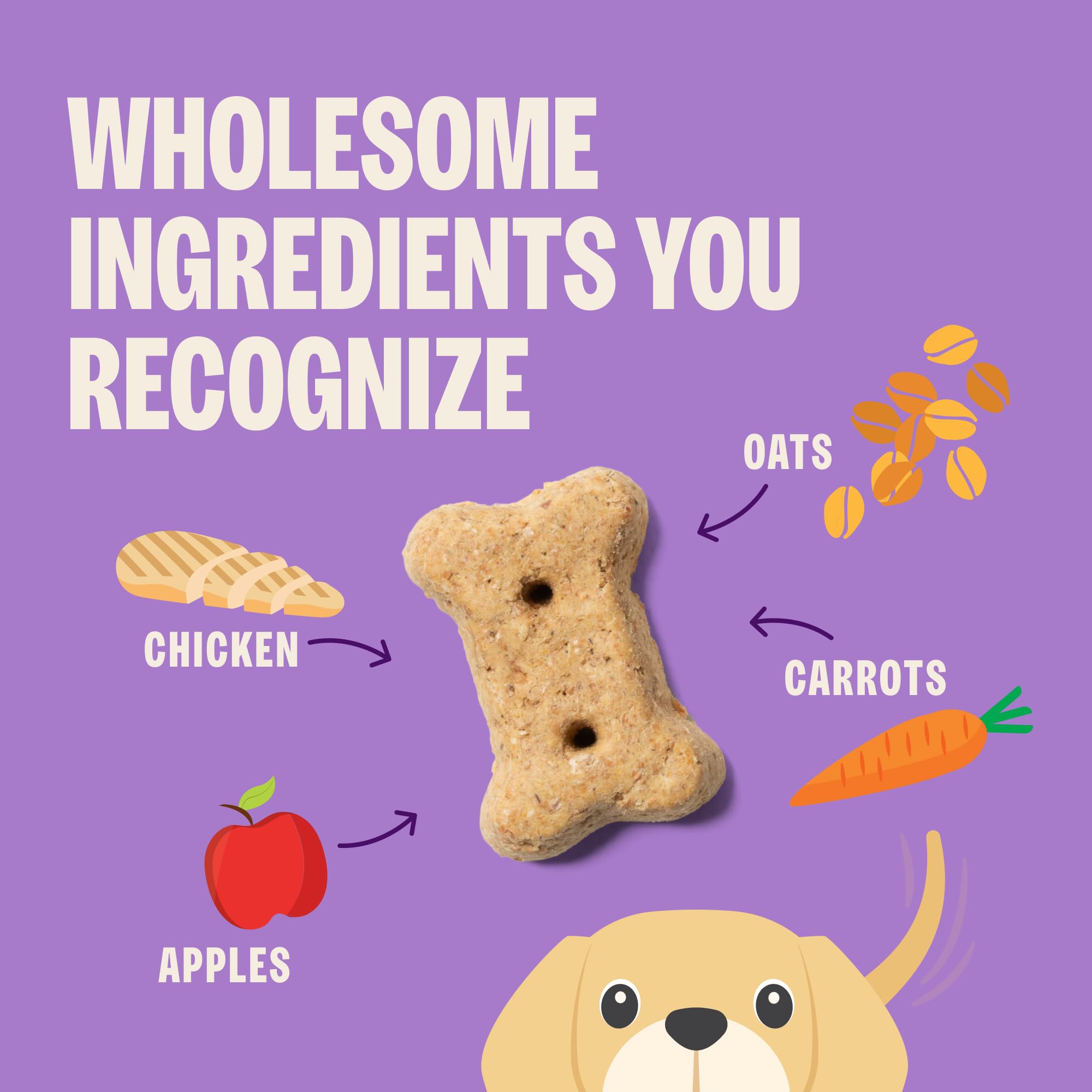 Old Mother Hubbard biscuits texture croquant, parfait pour chiot en entraînement.