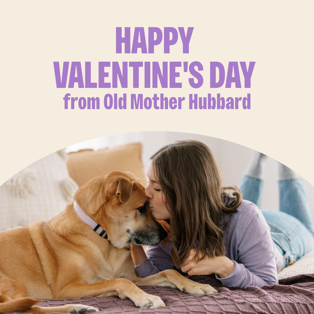 Old Mother Hubbard Bits of Love sans conservateurs artificiels