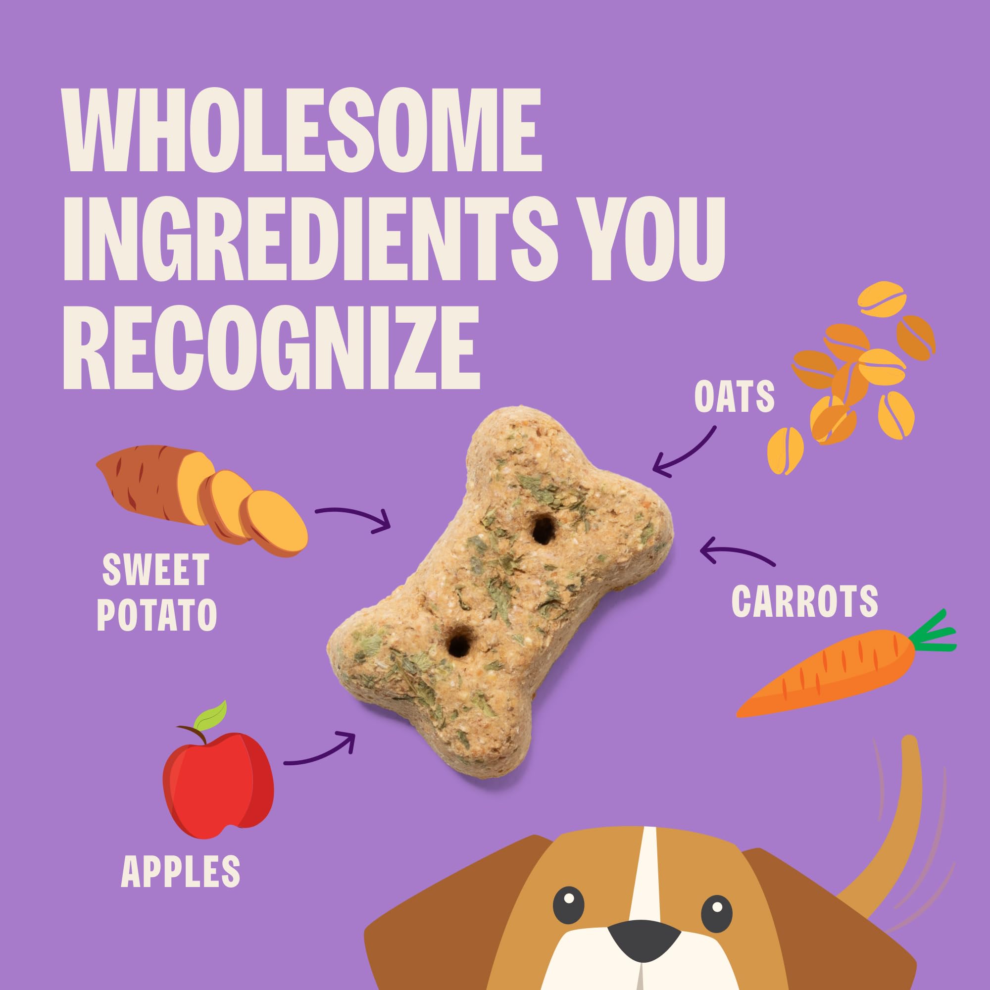 Old Mother Hubbard mini-biscuits naturels sans conservateurs artificiels pour chiot heureux.