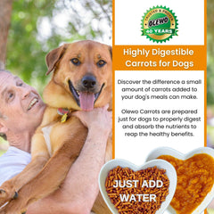 Olewo Carottes Originales – mélanger aux croquettes pour chien pour un repas plus appétissant