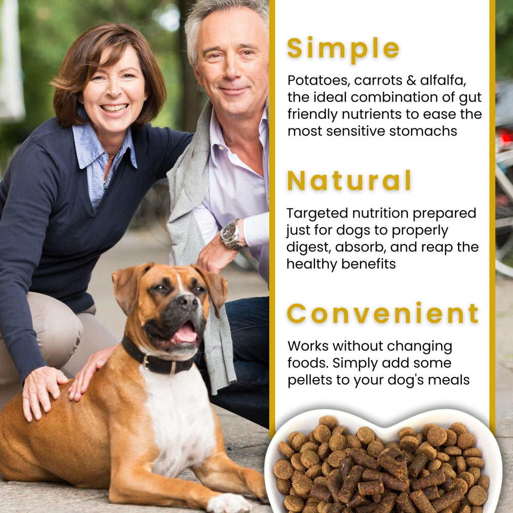 Rootsies, soutien digestif potentiel pour chiens sensibles.
