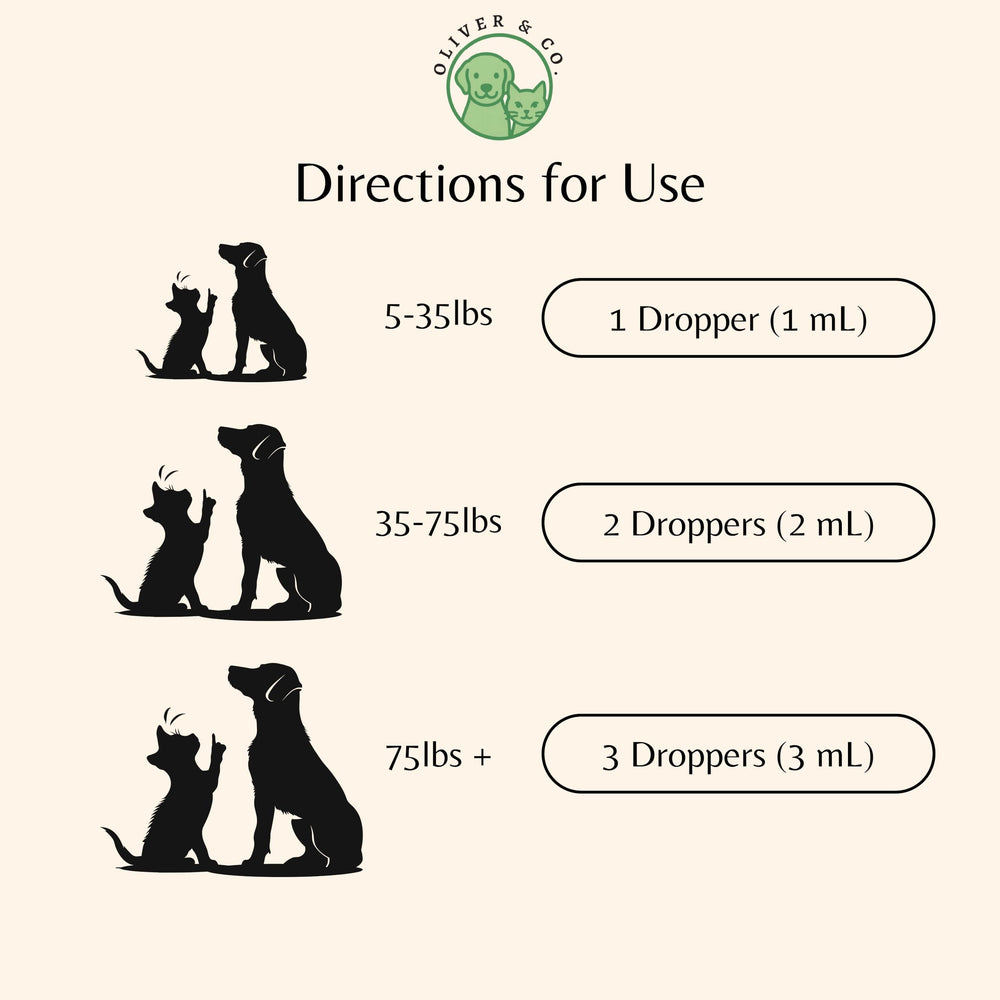 Oliver & Co. ajouter au repas – administration facile pour chien et chat.