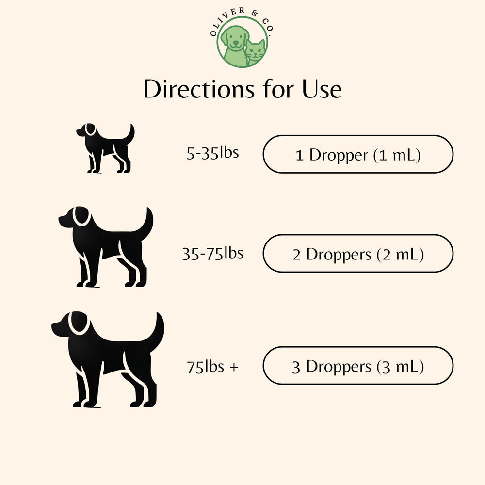 Oliver et Co Teinture Collagene Chien — confort digestif avec gingembre.