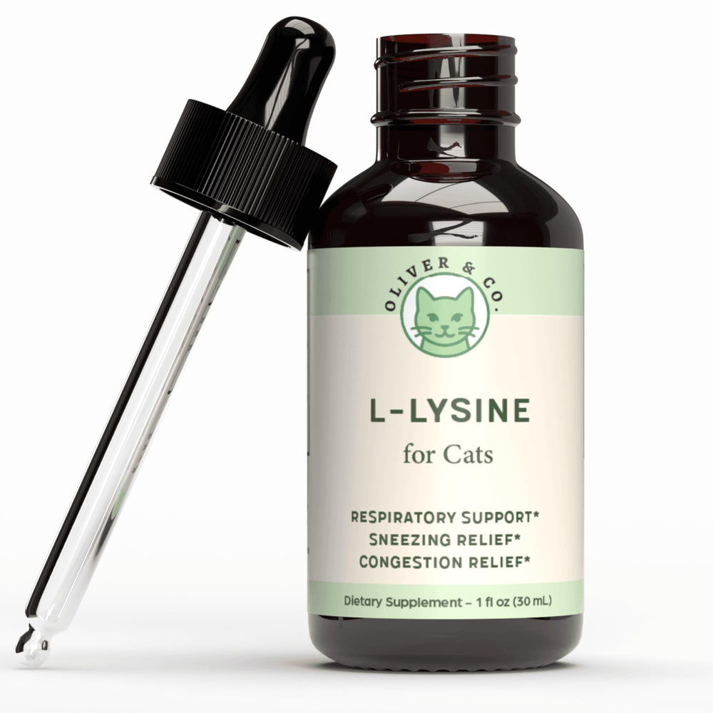 Lysine Oliver & Co. – flacon prêt à doser, soutien respiratoire potentiel.