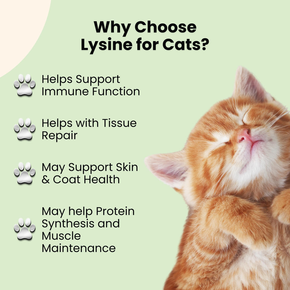 Lysine pour chats Oliver & Co. – ingrédients de qualité vérifiés.
